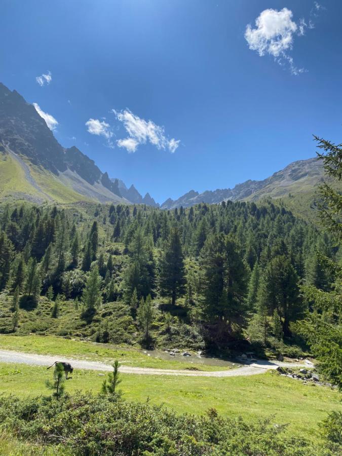 Apart Wiesenplatzl Kaunertal Zewnętrze zdjęcie