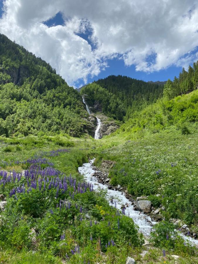Apart Wiesenplatzl Kaunertal Zewnętrze zdjęcie