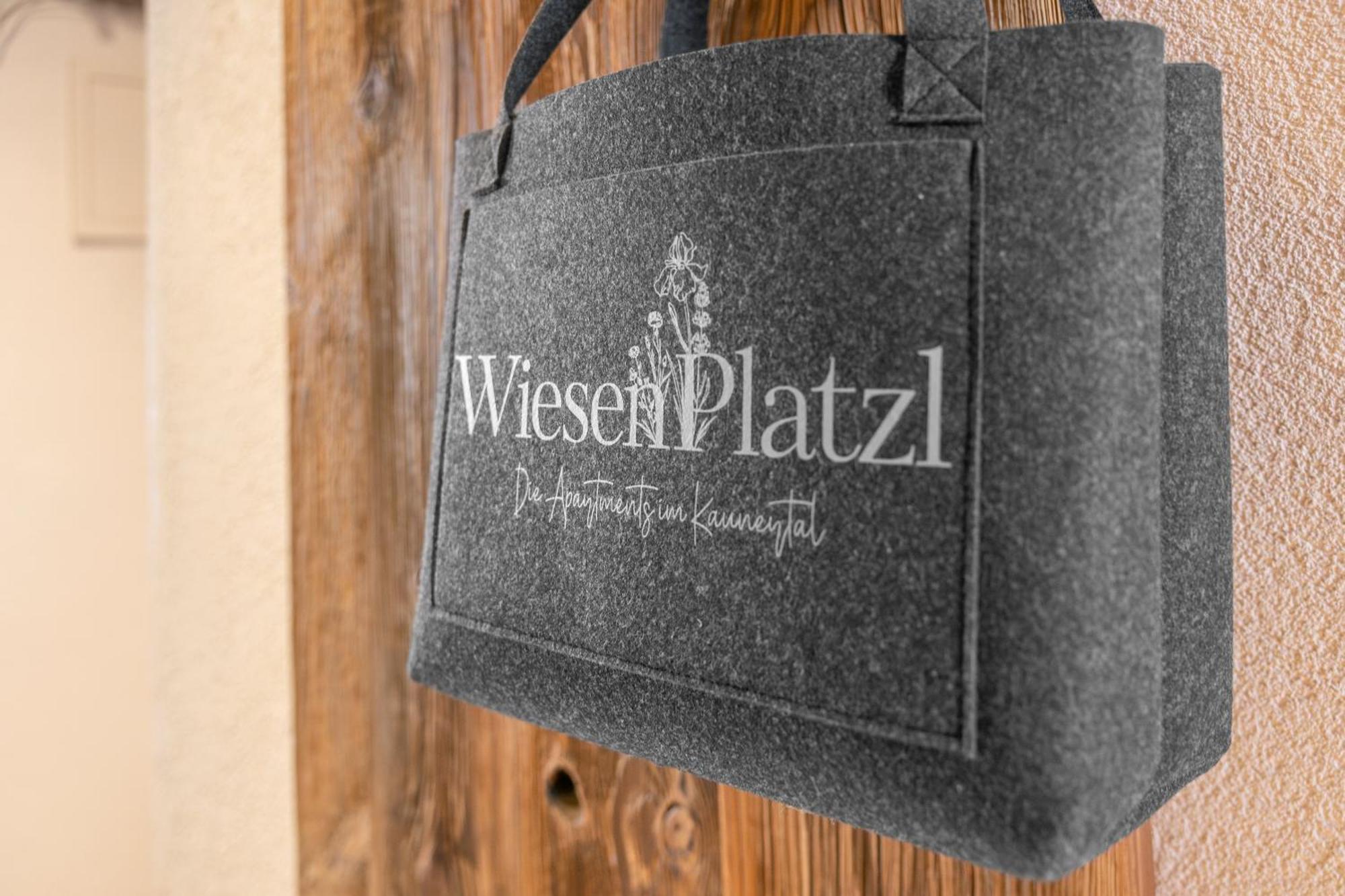 Apart Wiesenplatzl Kaunertal Zewnętrze zdjęcie